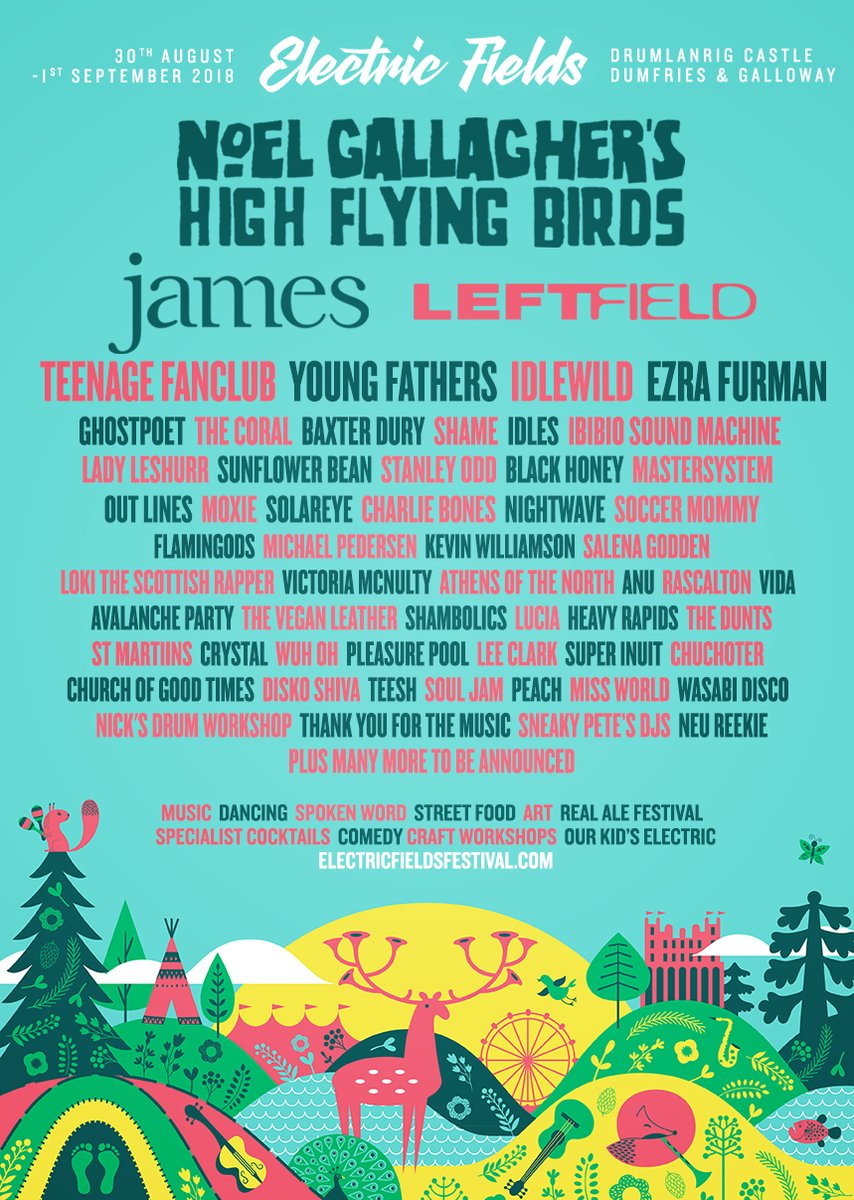 Electric Fields 2018 Line-up Poster Electric Fields 2018 Line-up Poster