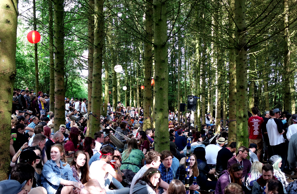 2000 Trees review Forest Stage1