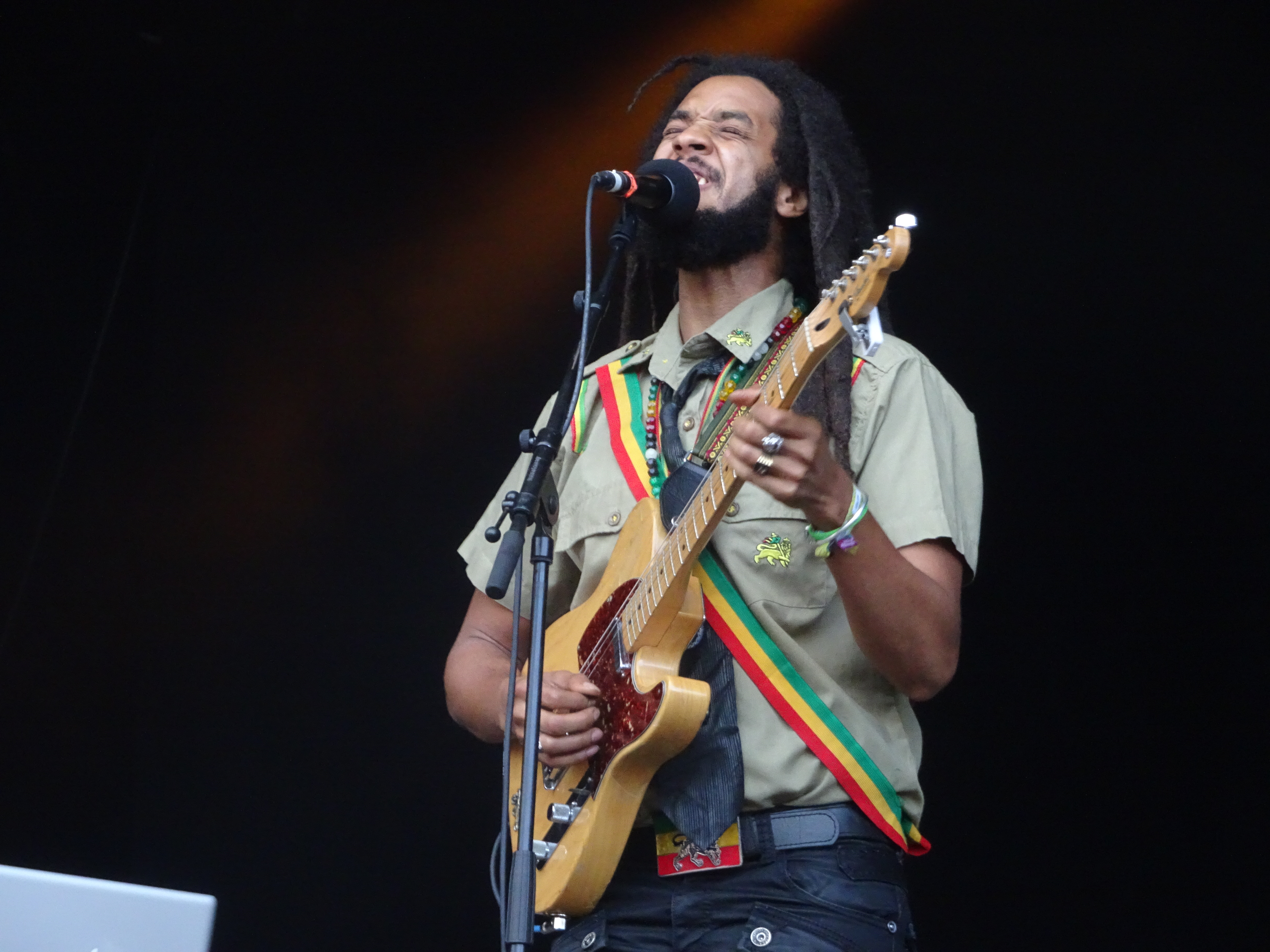 The Wailers The Wailers