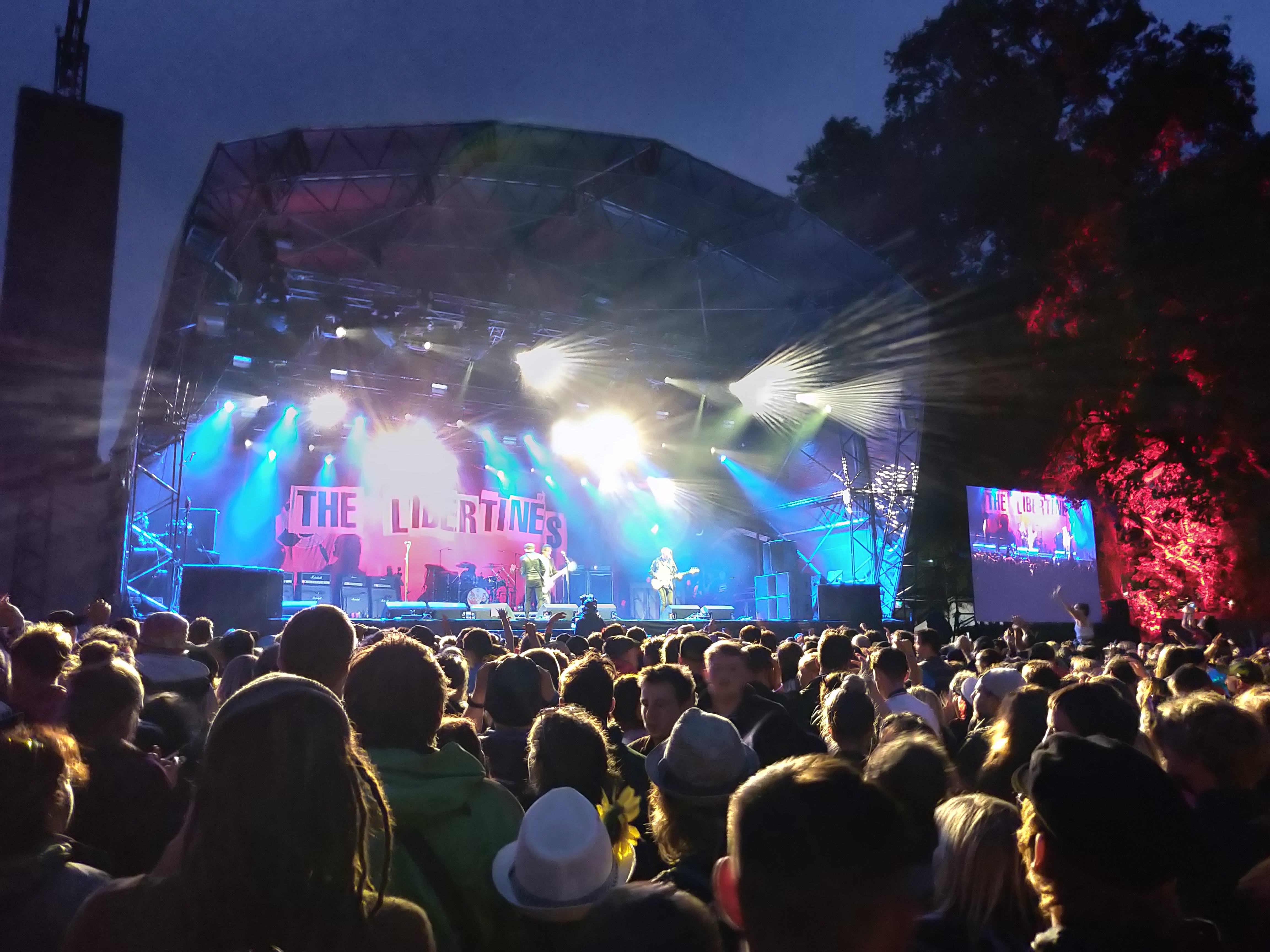 The Libertines The Libertines