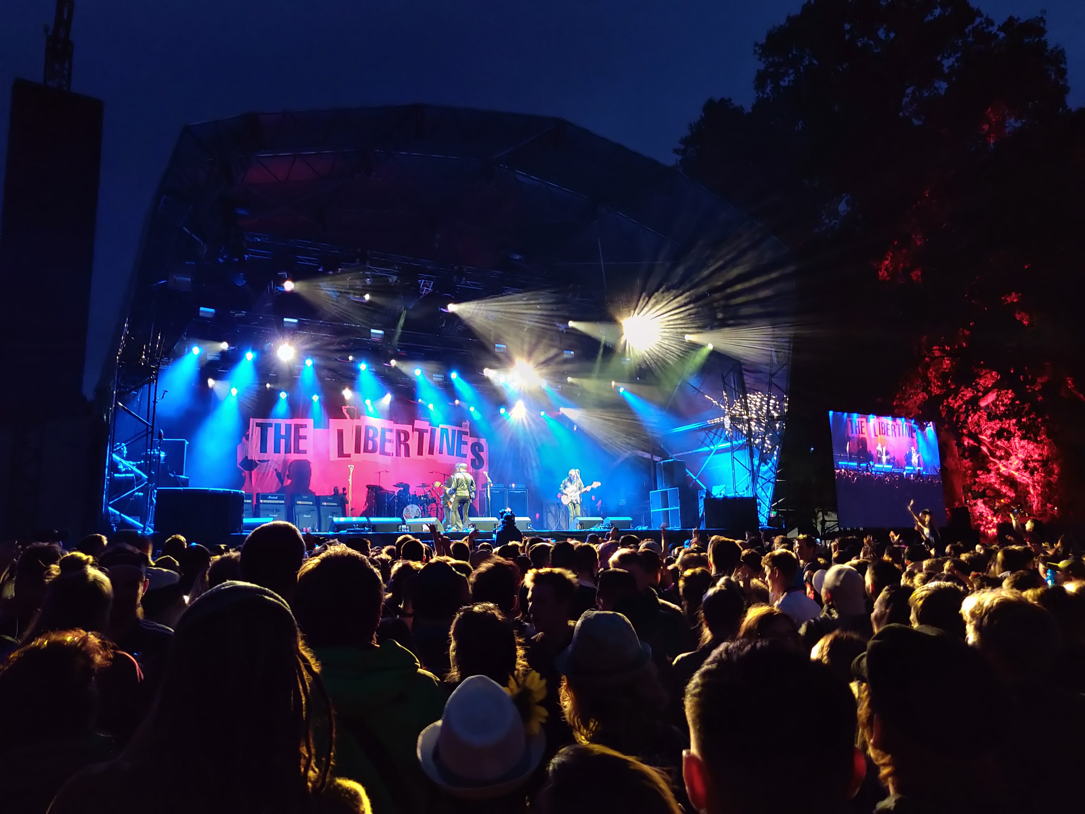 The Libertines The Libertines