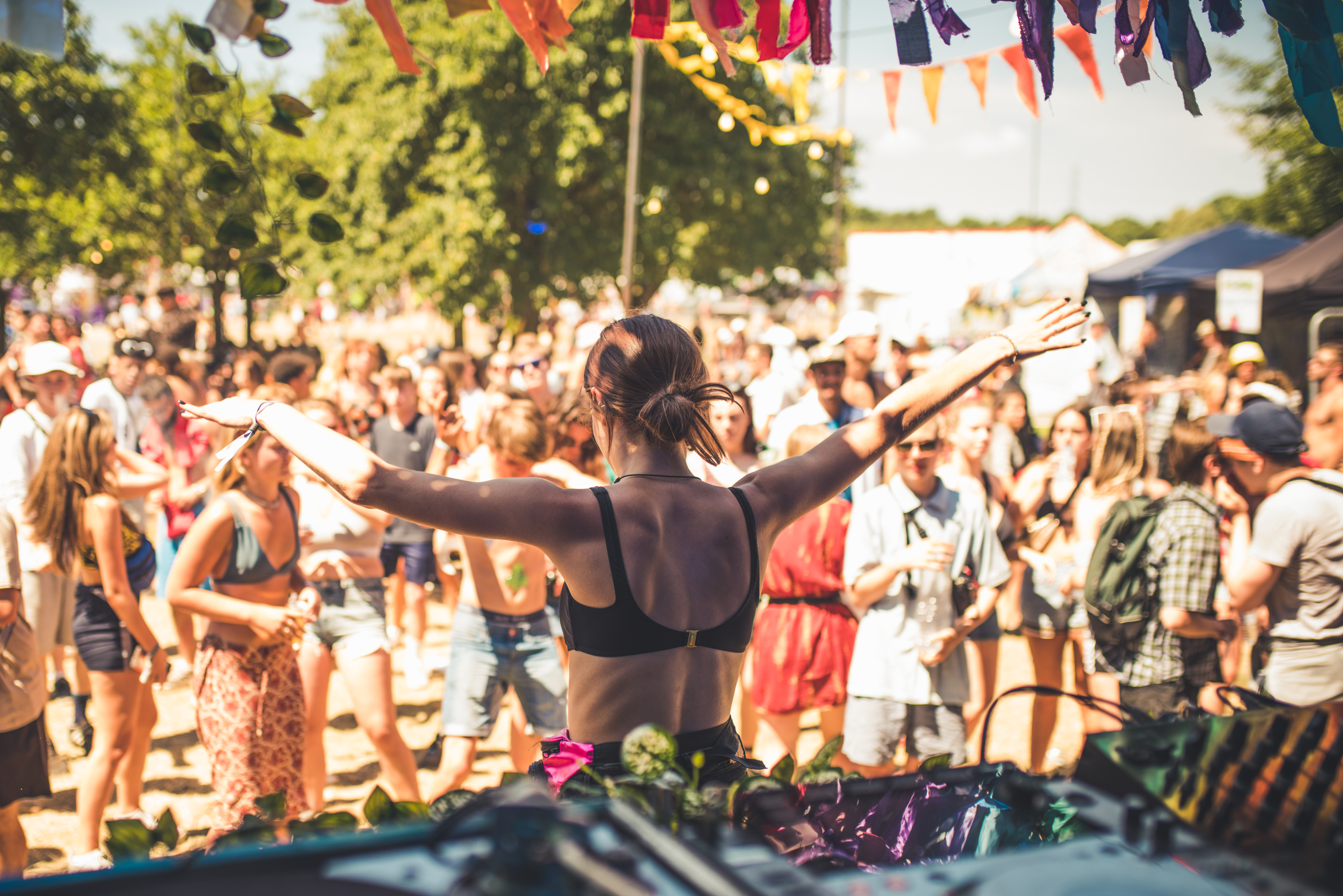 NASS Festival Crowd Saturday