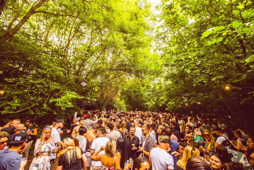 Junction 2 Crowd Trees