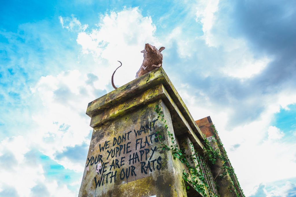 BT2018 LucasSinclair DisorderAlley WEB 26 Boomtown Fair graffiti we don't want your yuppie flats we are happy with our rats