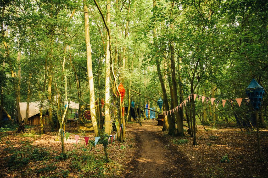 Alfresco Festival Forest Trail