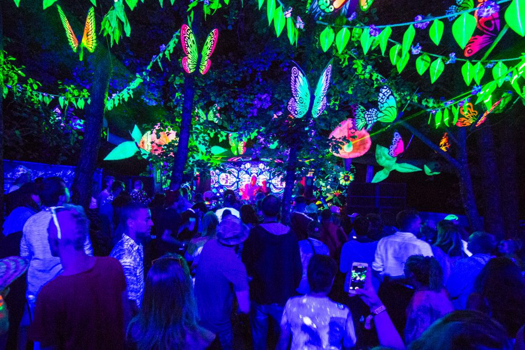 The Coppice at Nozstock 2018 credit Charlie Rimmer The Coppice at Nozstock 2018 - credit Charlie Rimmer