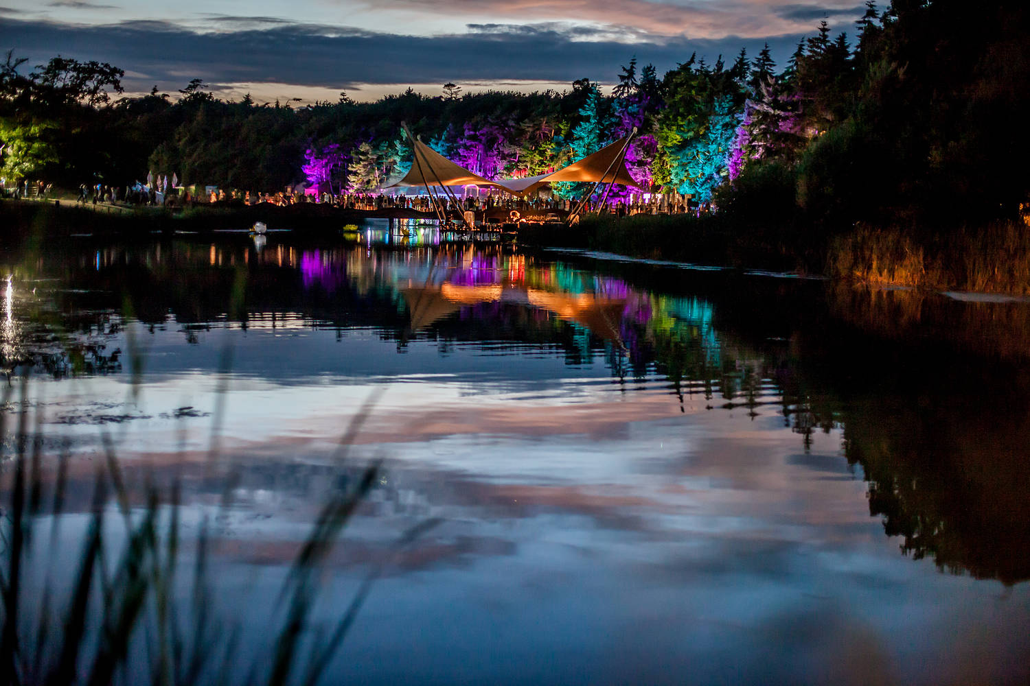 Latitude Festival Lake Night Lights