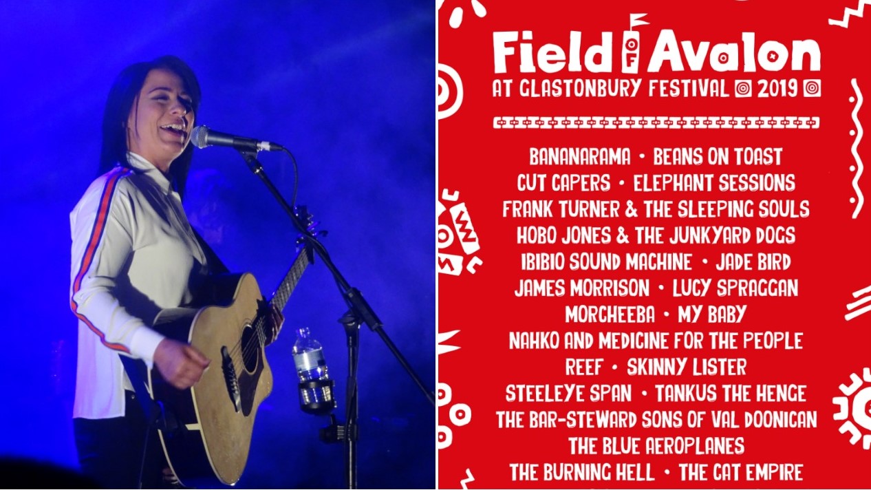 Glastonbury Fields of Avalon