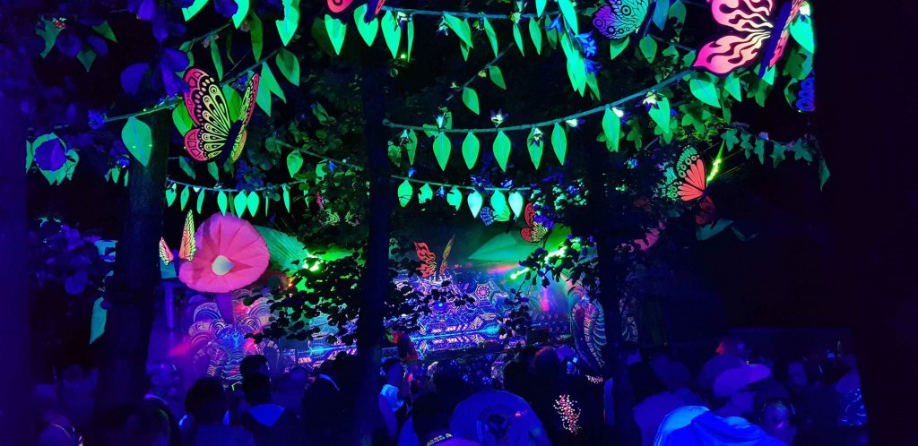 coppice at night The Coppice at night at Nozstock