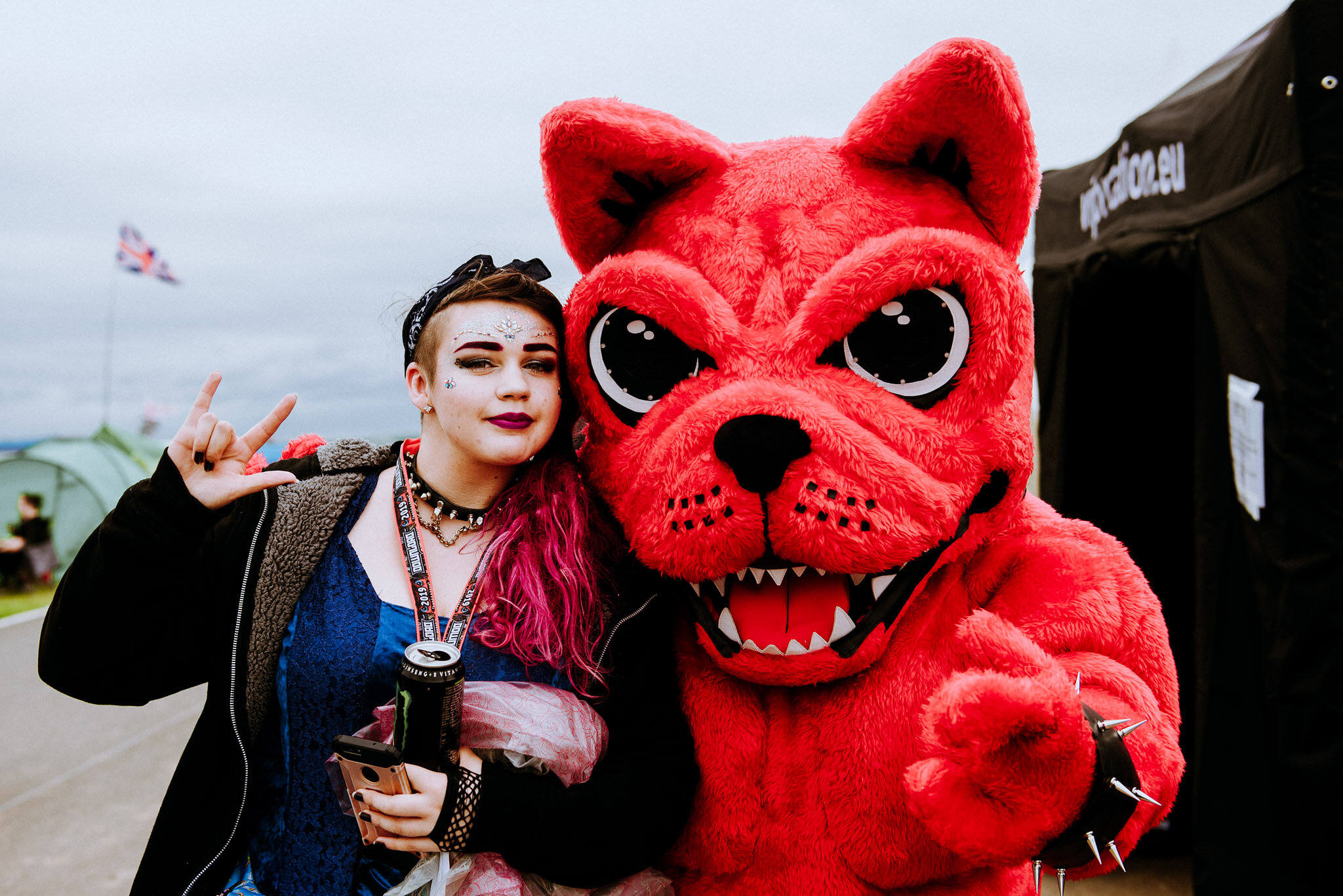 Download Festival Dog
