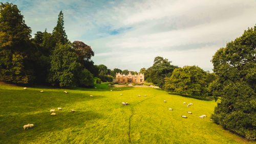 Dillington House Shindig Festival new location