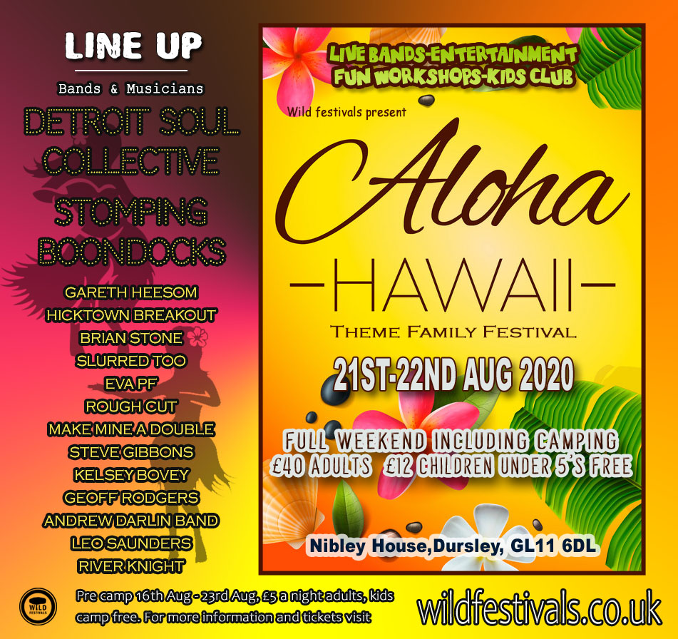 Hawaii Family Festival 2020 line-up poster Hawaii Family Festival 2020 line-up poster