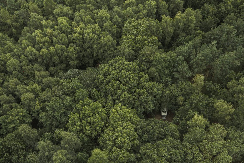 Lost Village woods aerial view