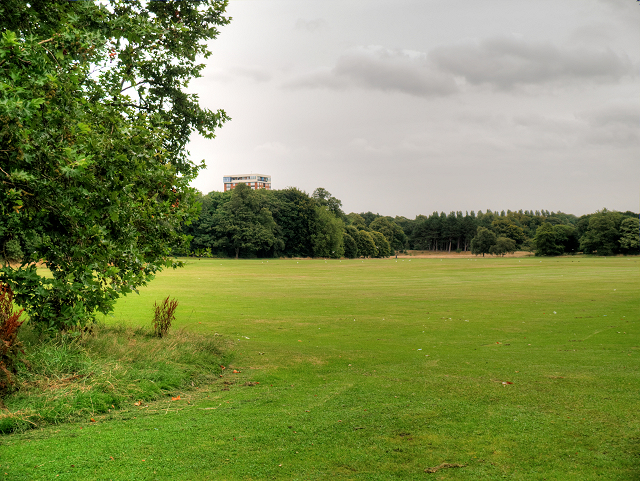 Cream Sefton Park 2020