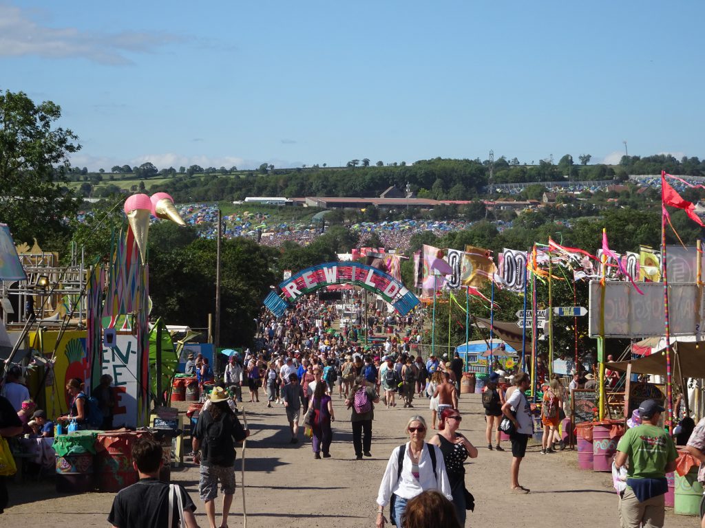 DSC04376 Glastonbury Rewild
