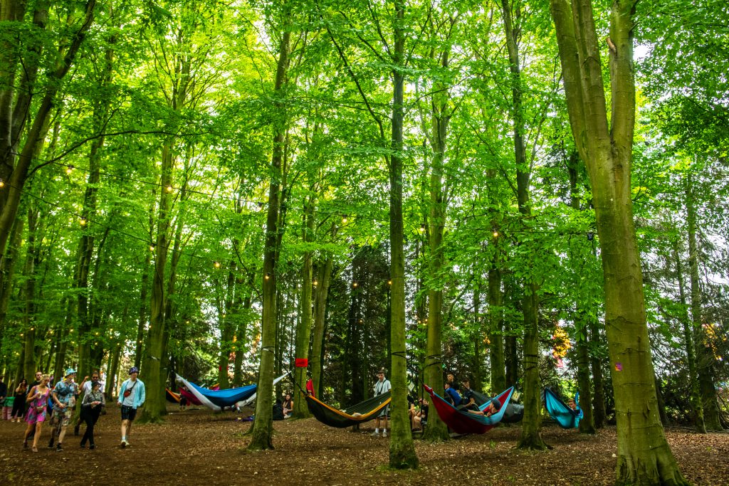 Boomtown Fair Tangled Roots Hammocks in woods