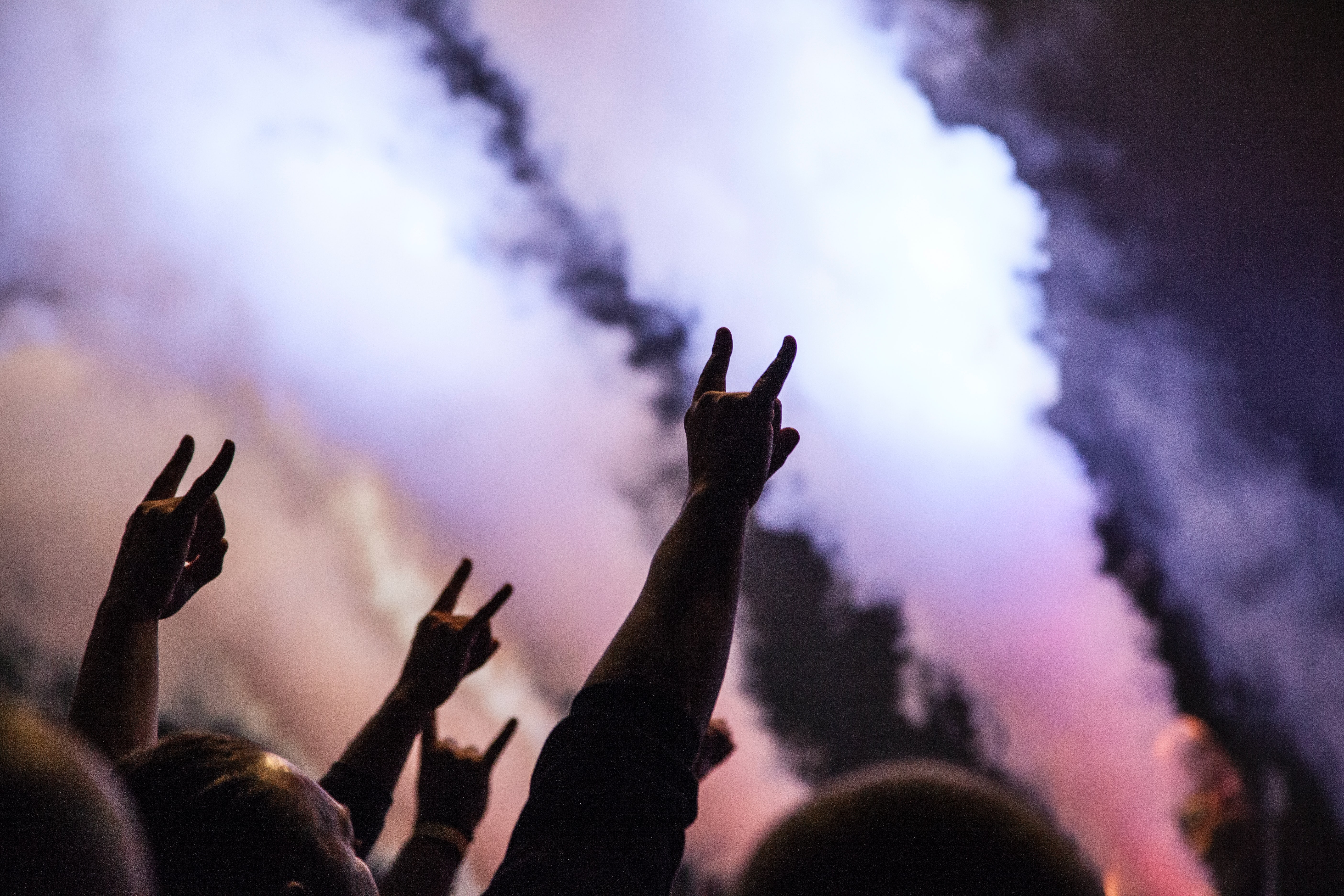 Metal horns in crowd