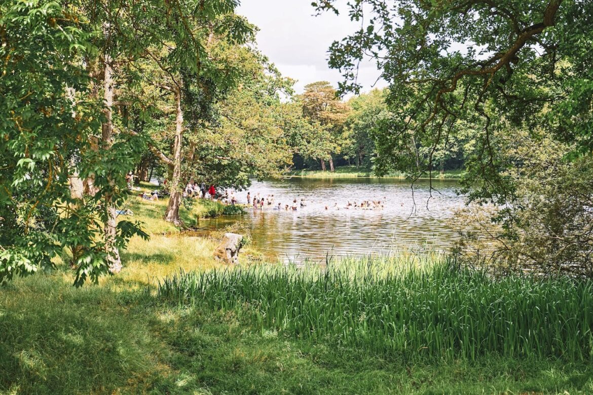 Also Festival swimming