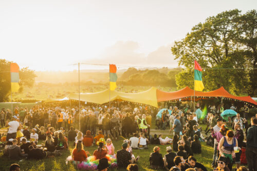 Shindig crowd fields