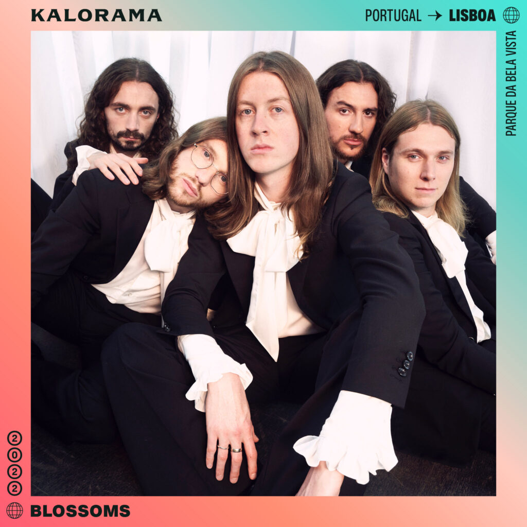 blossoms blossoms
