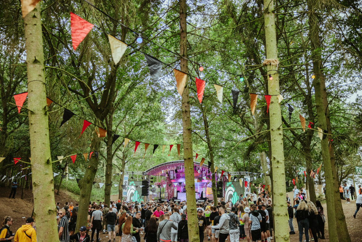 Electric Woodlands forest stage