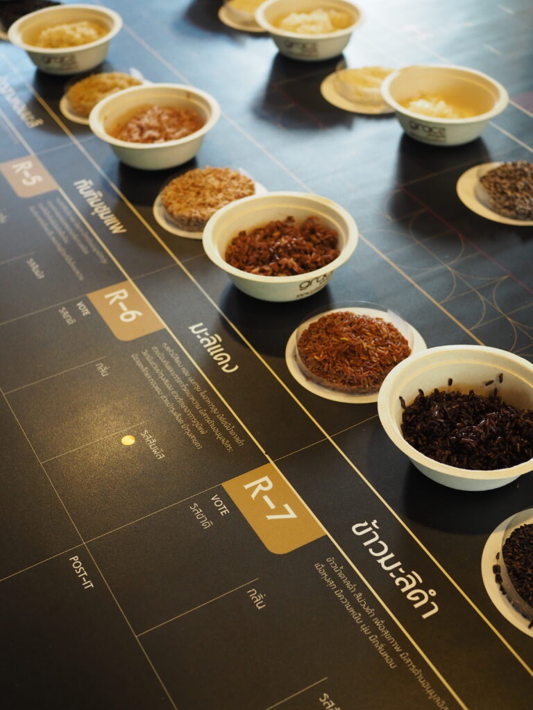 Flavors of Isan Rice. P4200093 Flavors of Isan Rice. P4200093