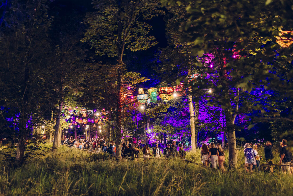 Kendal Calling woodlands at night