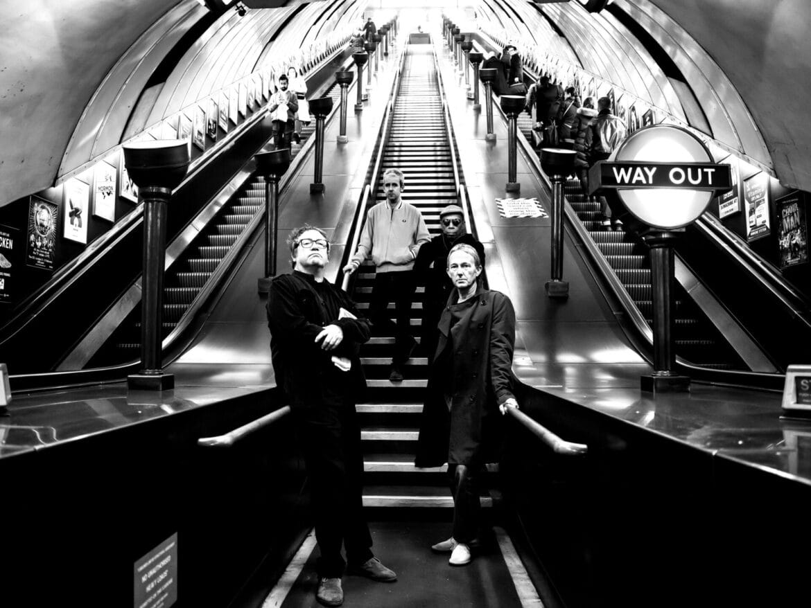 Ocean Colour Scene