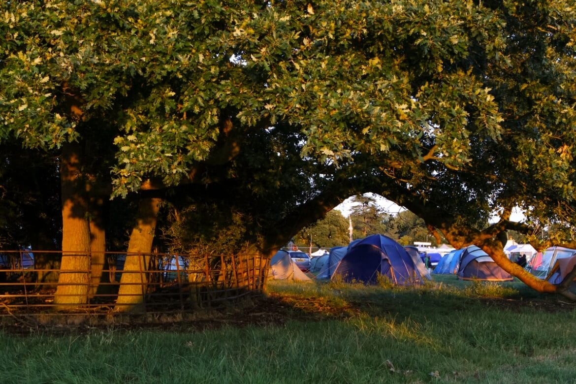 website WHAT IS FOUND Campsite through trees