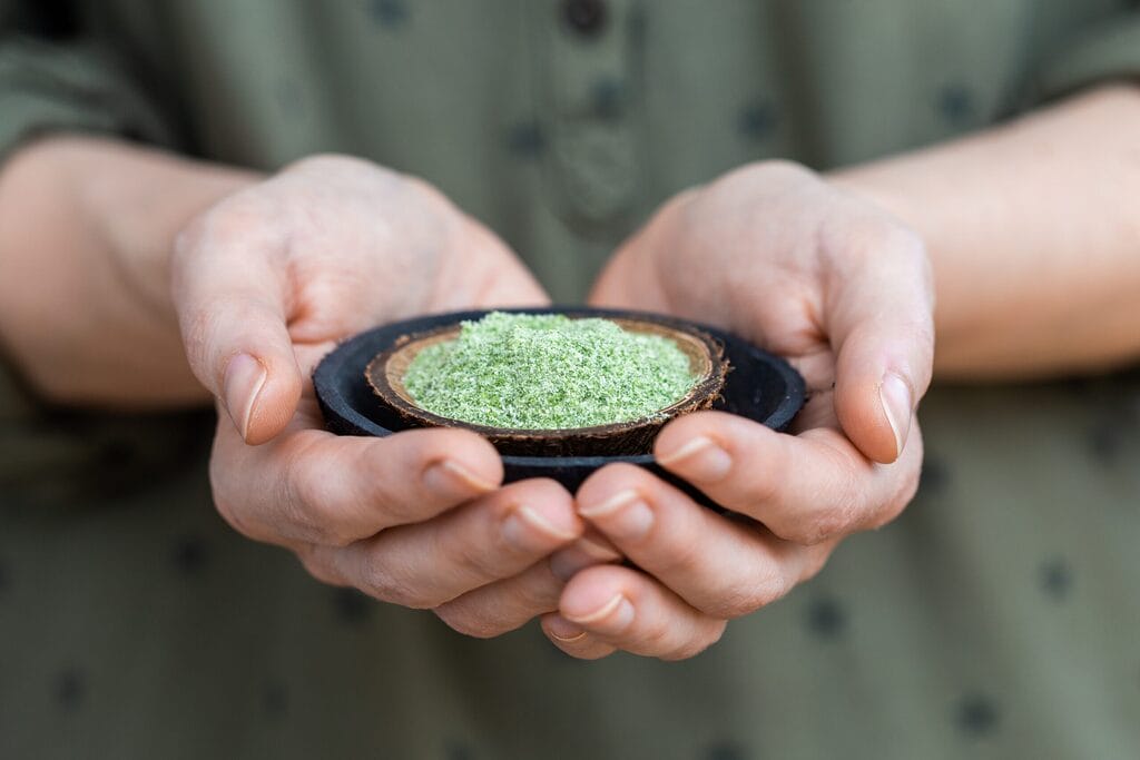 person holding plate green powder used raw vegan foods