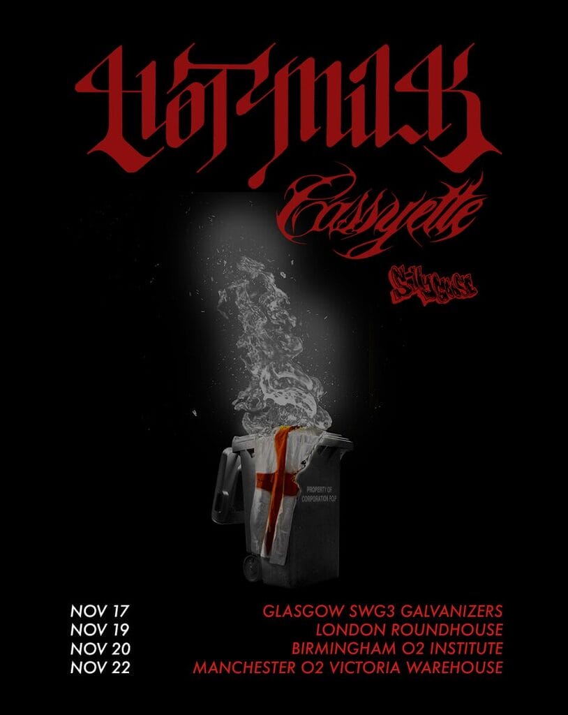 image 7 Hot Milk tour poster